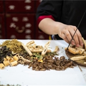 培育文化自信：中医药传统文化育人体系建构与创新实践